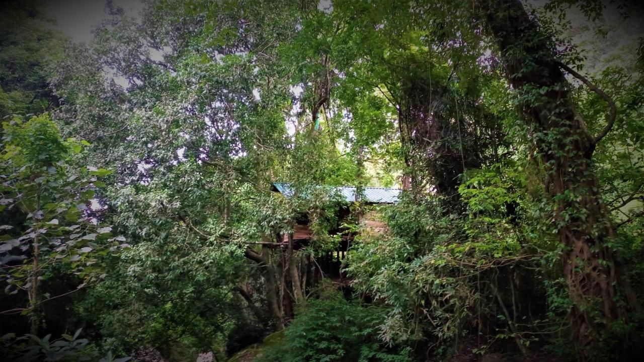Chalet In The Jungle Pallegama Luaran gambar