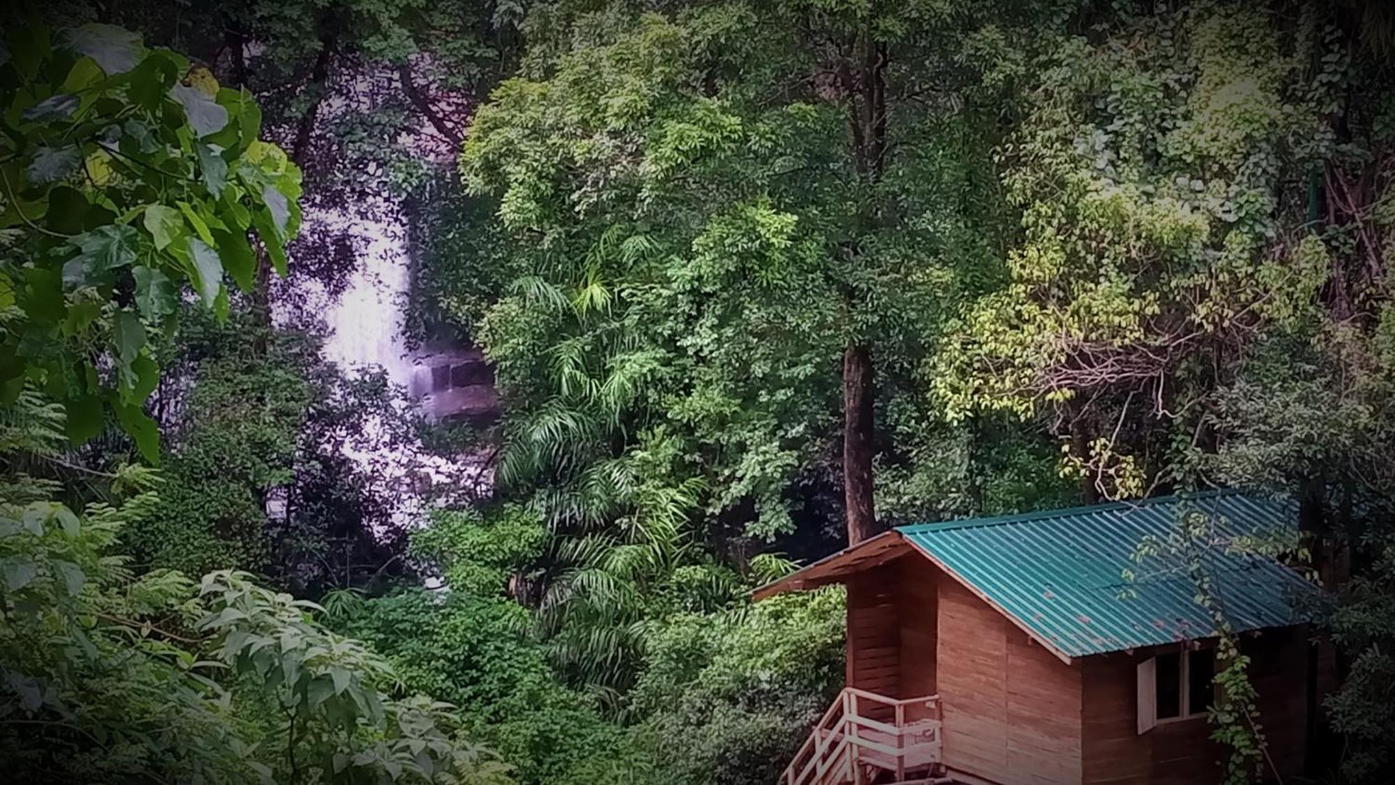 Chalet In The Jungle Pallegama Luaran gambar