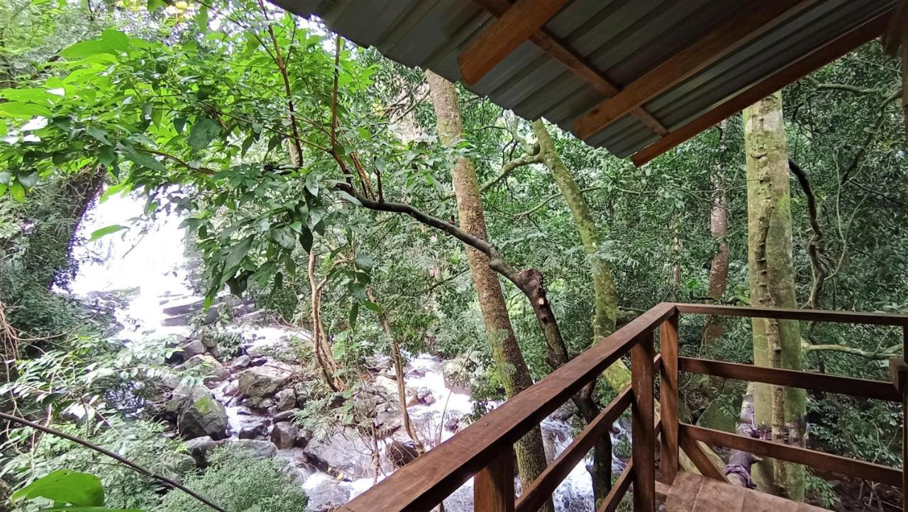 Chalet In The Jungle Pallegama Luaran gambar
