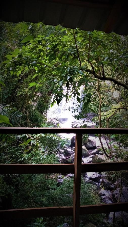Chalet In The Jungle Pallegama Luaran gambar